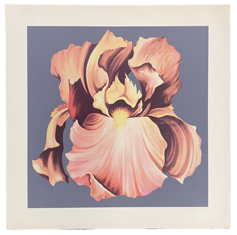 Jon Carsman Cannas 1978 Signed Limited Edition Silkscreen on Arches archival  paper - Bright Colors