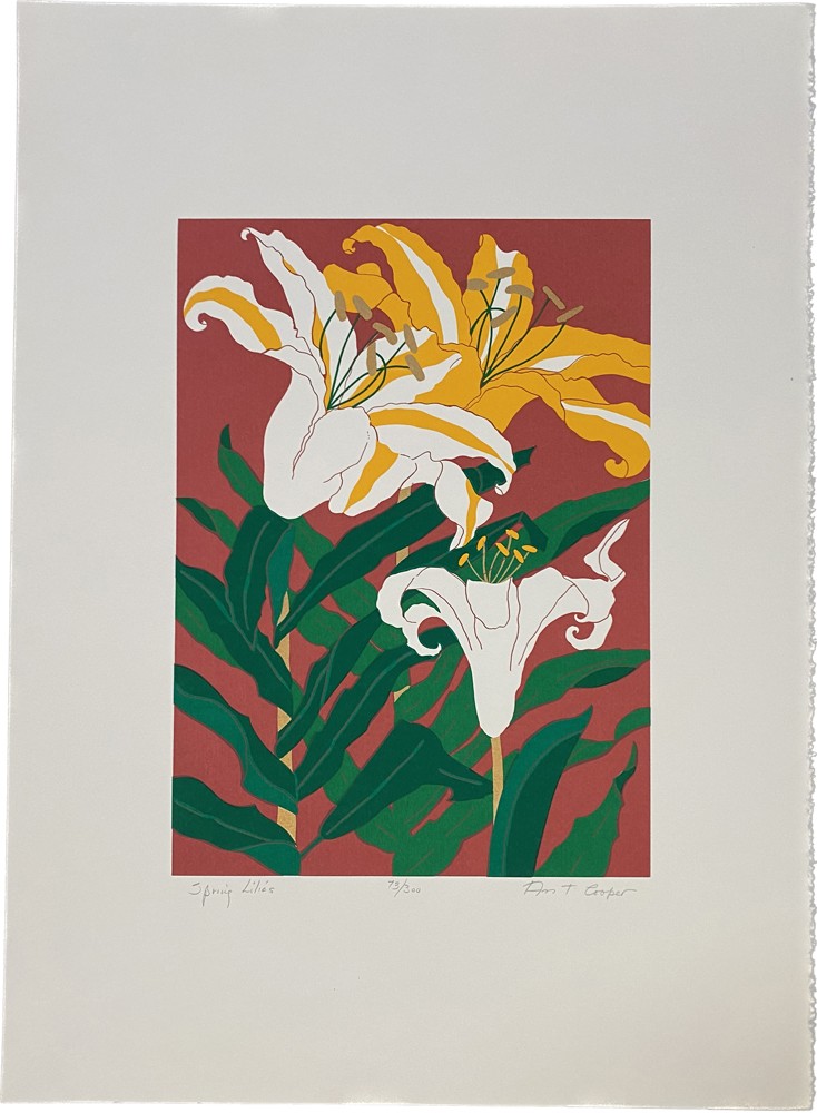 Jon Carsman Cannas 1978 Signed Limited Edition Silkscreen on Arches archival  paper - Bright Colors